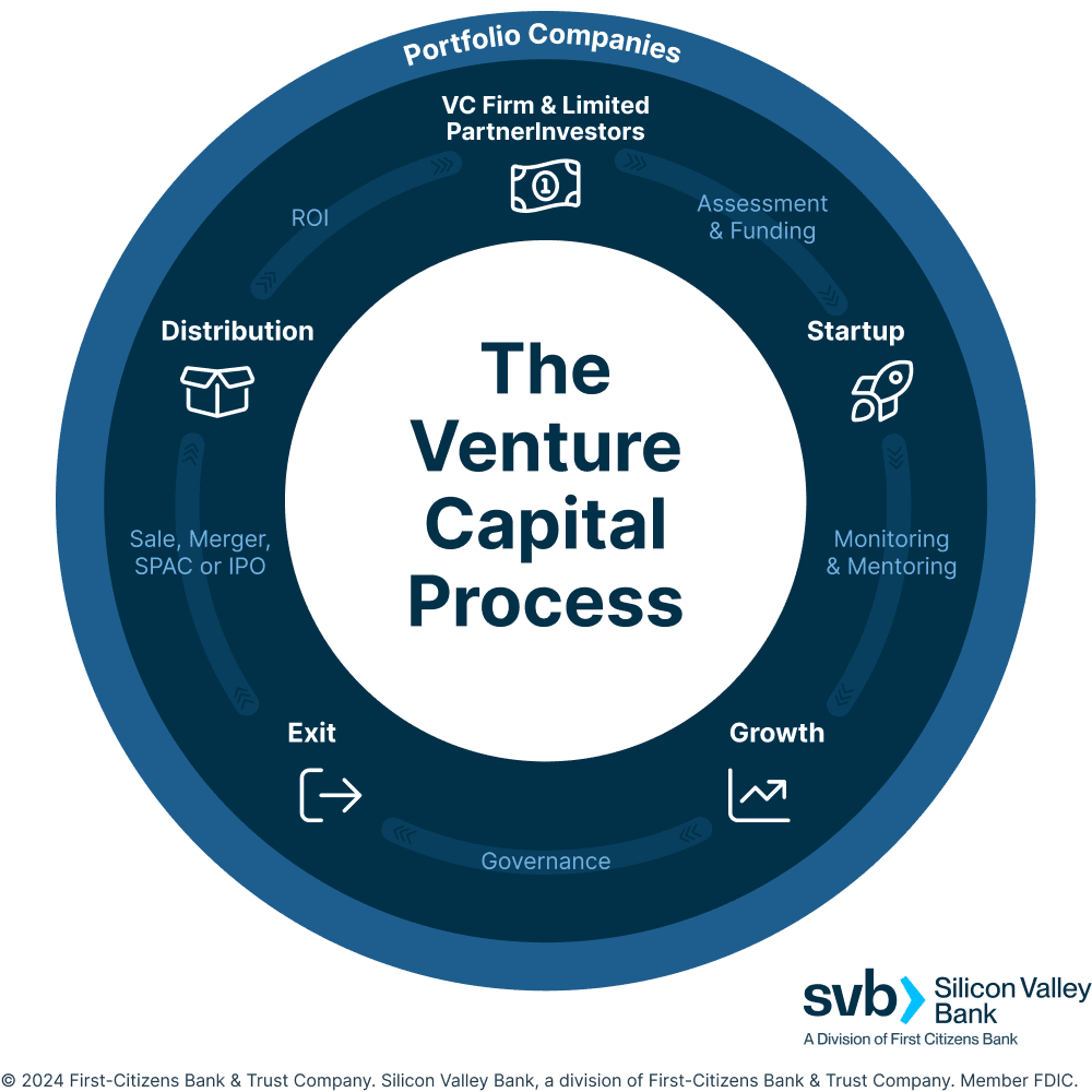 Infographic illustrating the venture capital process cycle, highlighting key stages including assessment and funding by VC firms and limited partner investors, startup monitoring and mentoring, growth management, governance oversight, exit strategies, and distribution through sales, mergers, SPA Cs, or IP Os.