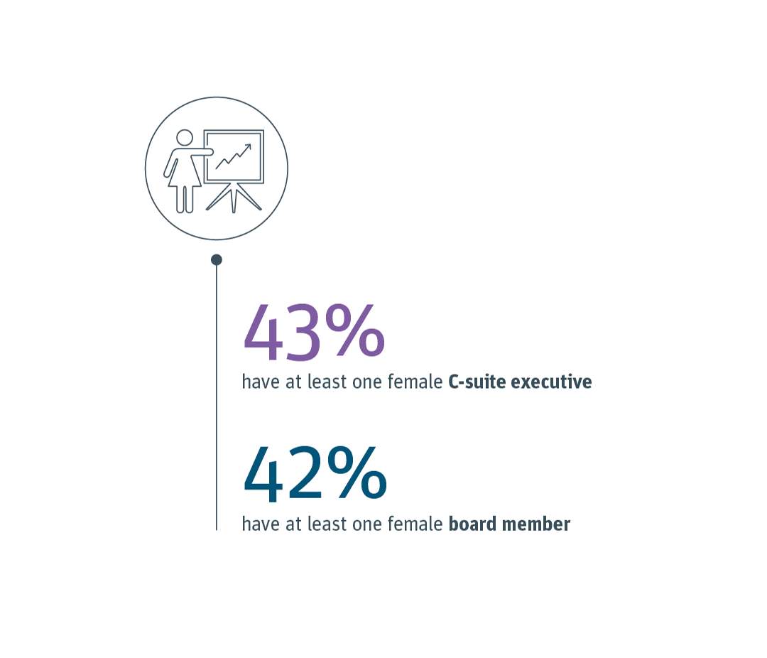 % of female C-suite executives and female board members