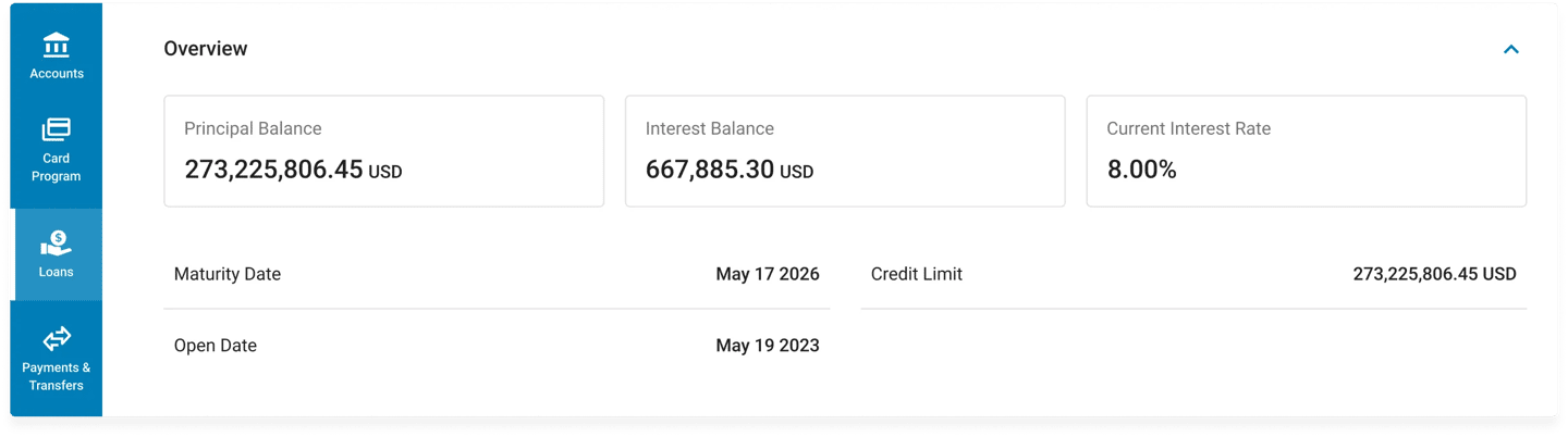 Loans overview dashboard