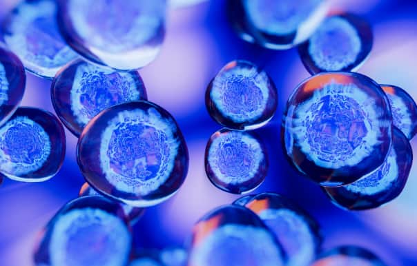 GVB Healthcare Exits cross promo 604 x 386