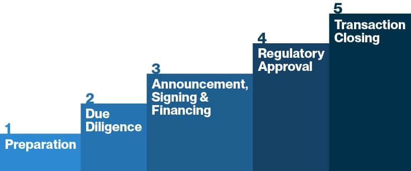 Managing Currency Risk Chart: Phases 1-5